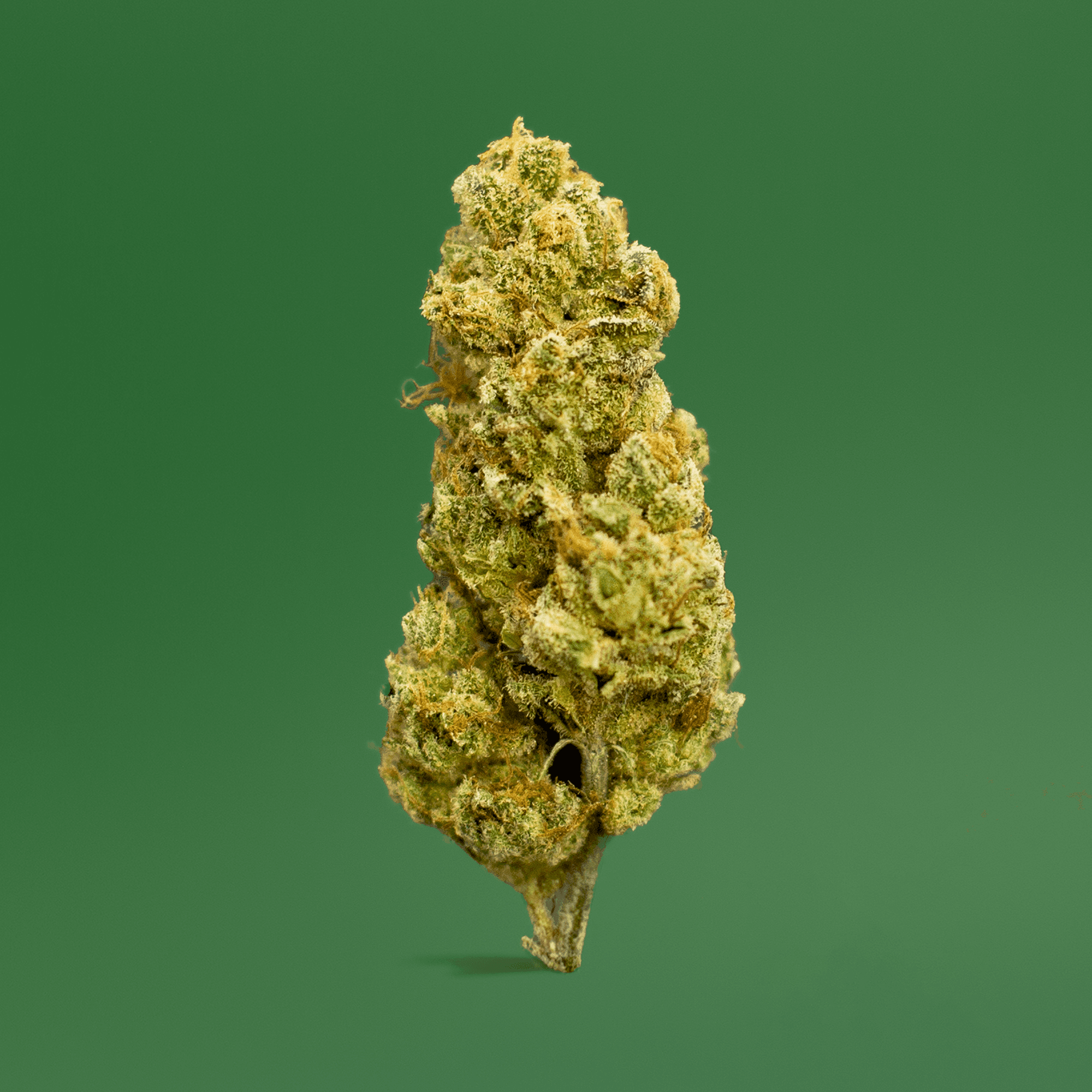 Honeycomb Signature Flower