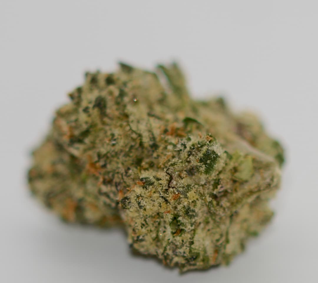 Cherry Gelato Bulk Flower Hybrid