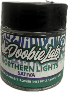 Northern Lights