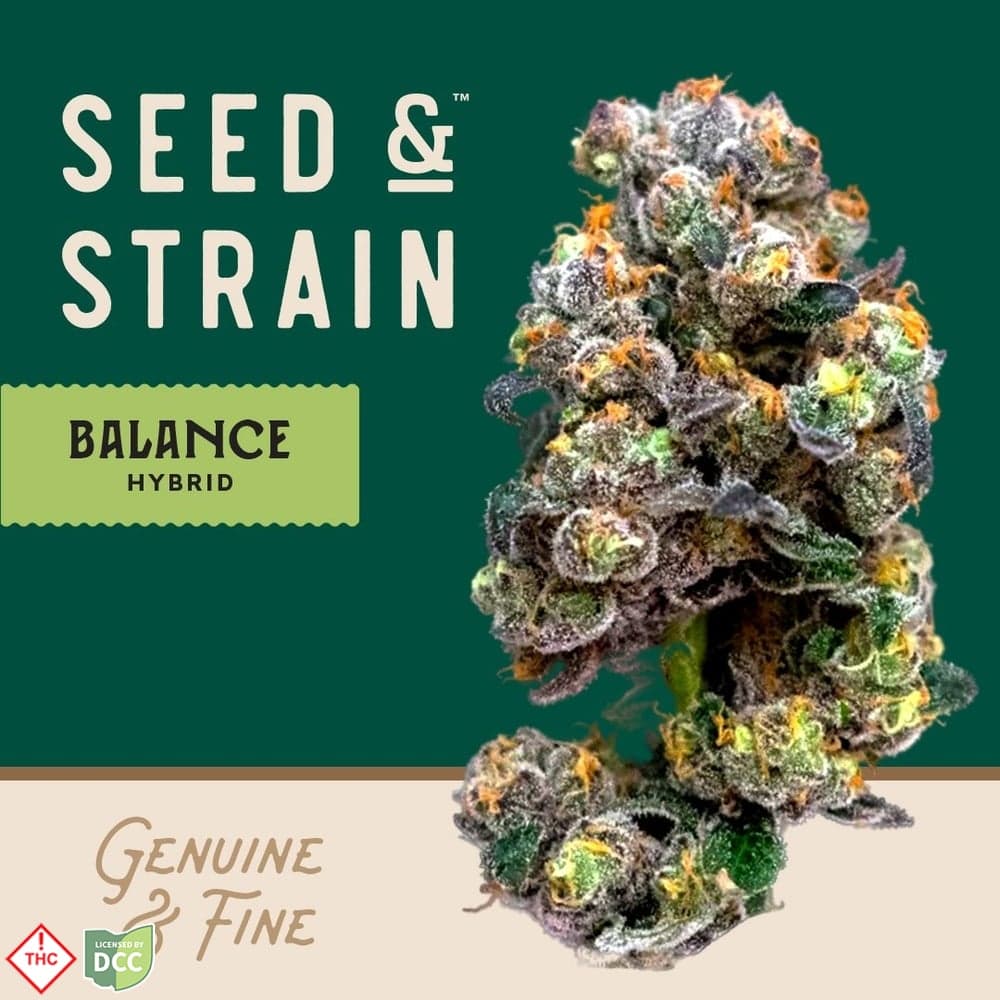 Seed and Strain Papa Don - 28.3g