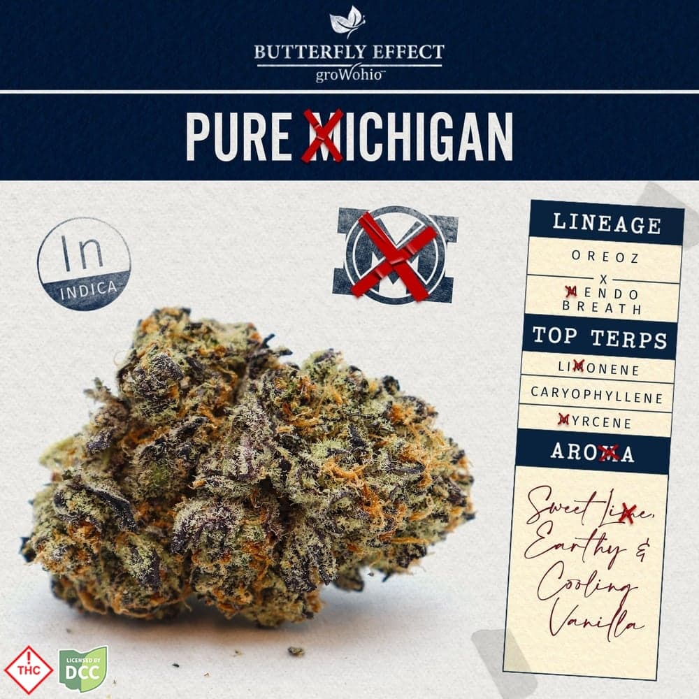 Pure Xichigan [14.15g]