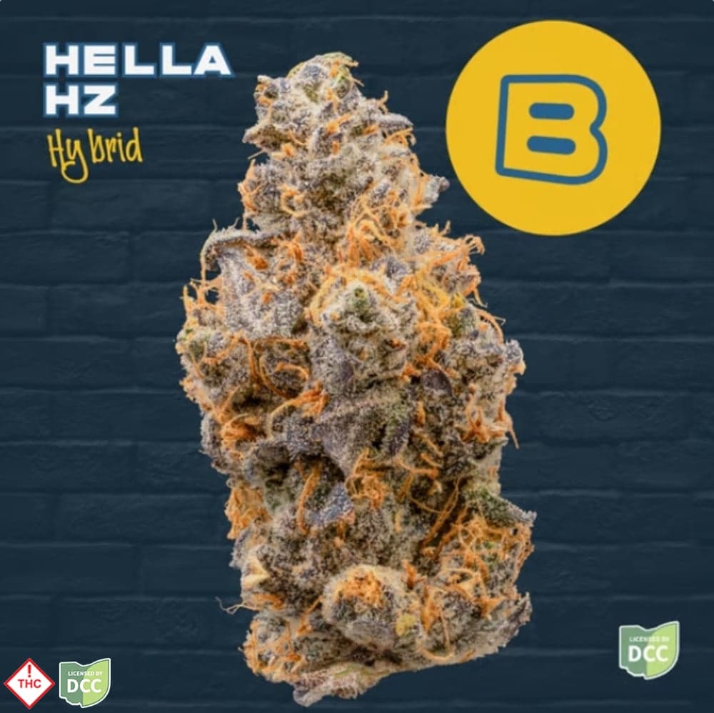 Buckeye Relief - Hella Hz -