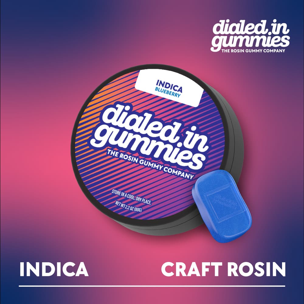 100mg - Blueberry - Rosin Gummies (10pk)