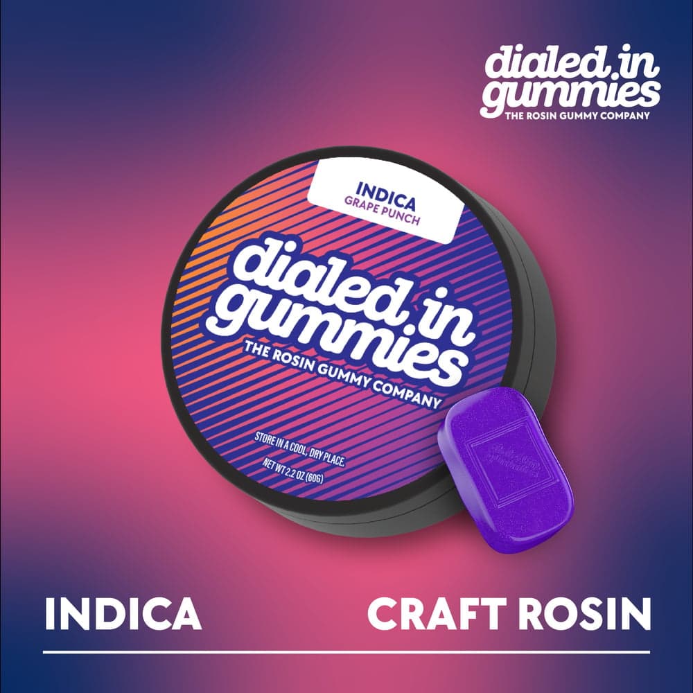 100mg - Grape Punch - Rosin Gummies (10pk)