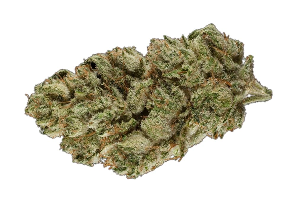 Gorilla Breath