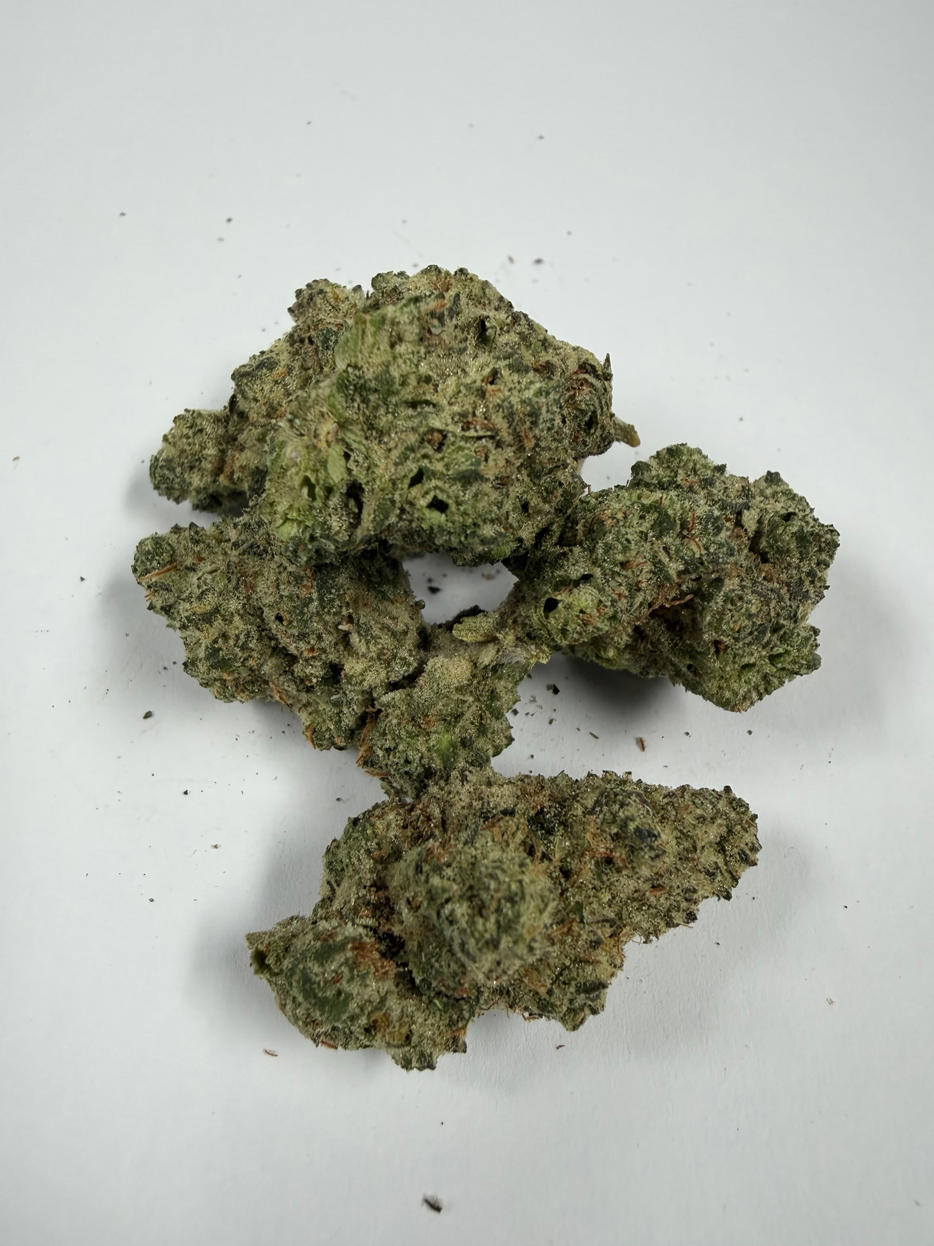 Merlin's Nightshade