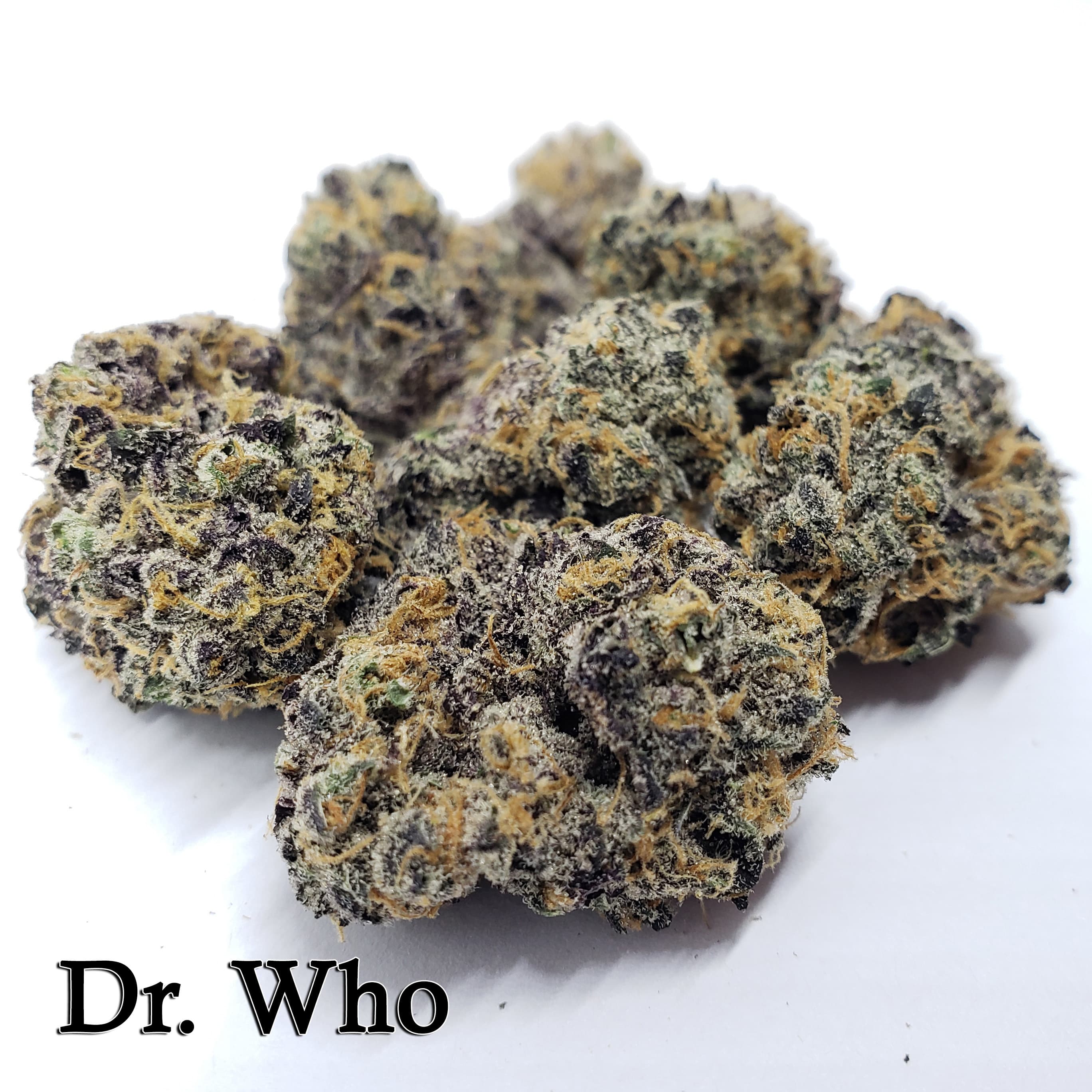Dr. Who