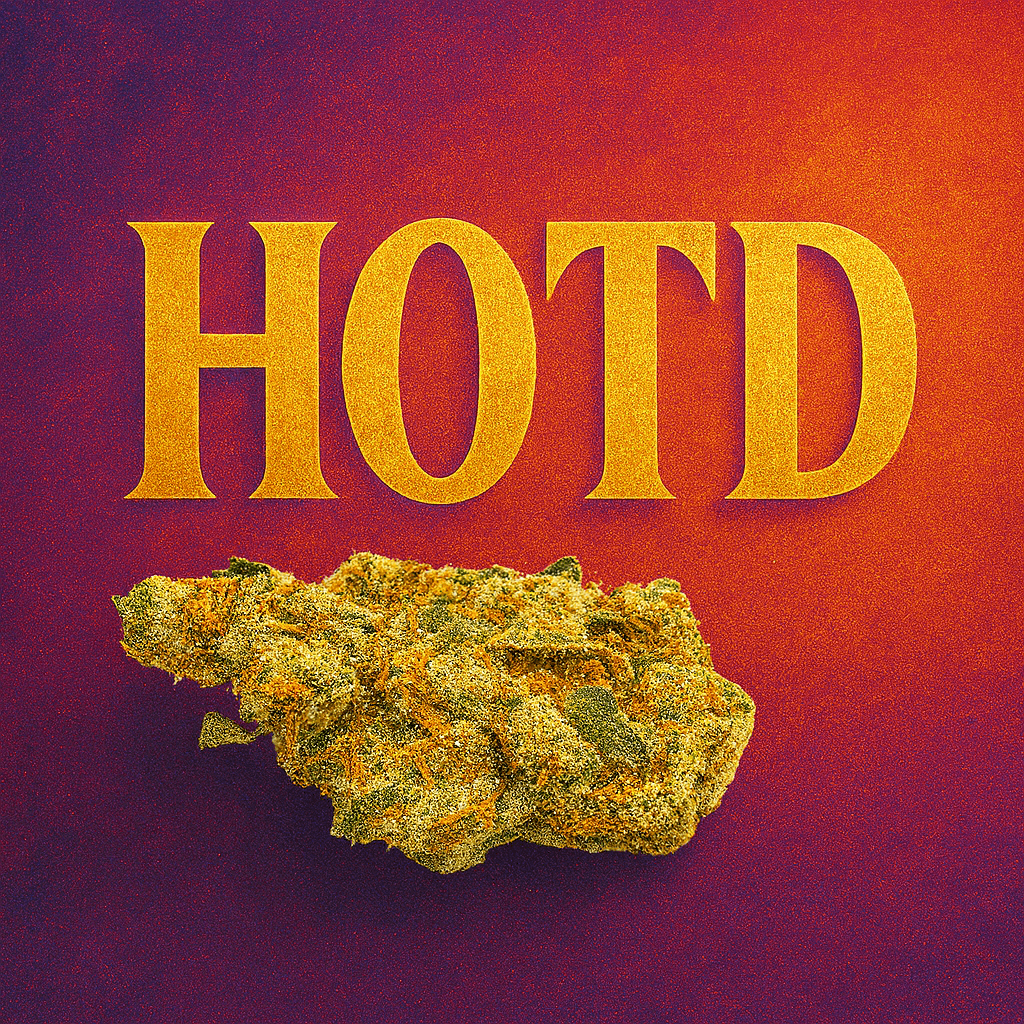 HOTD