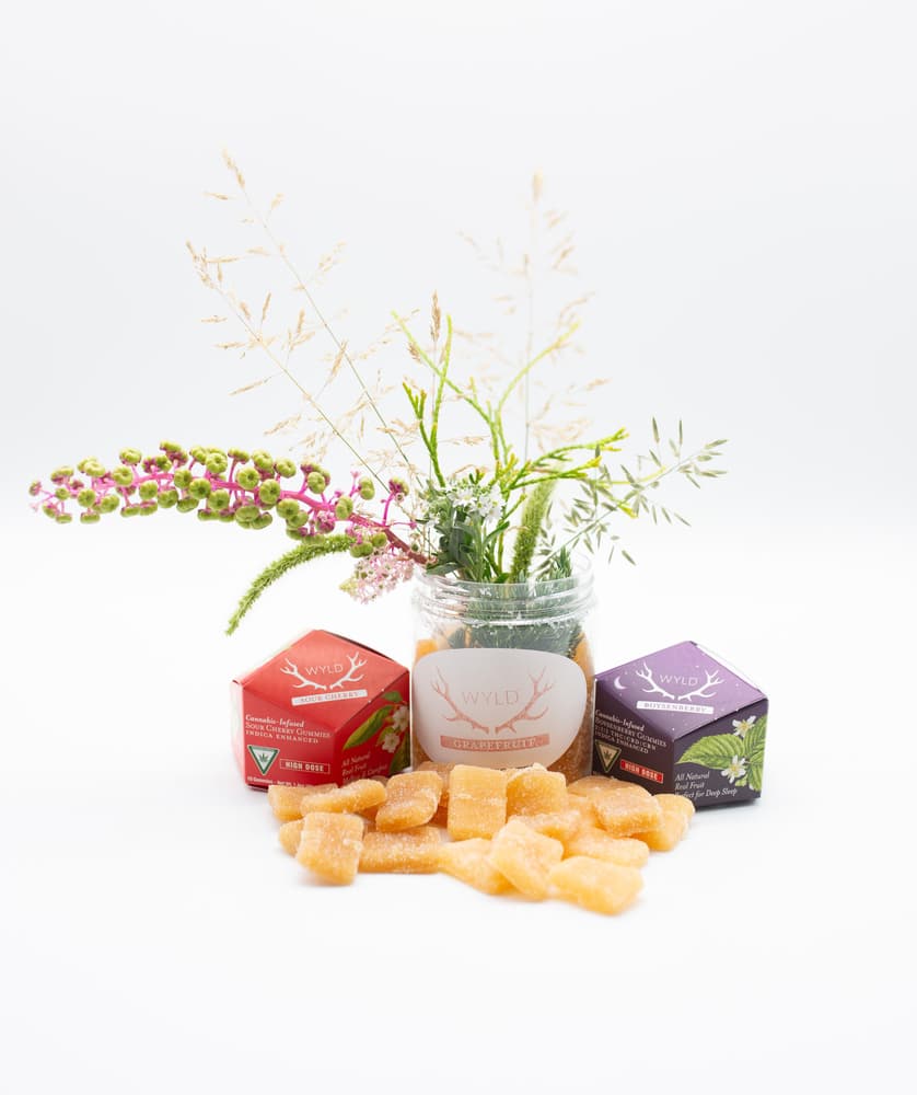 *HIGH DOSE* Boysenberry 2:1:1 CBD:CBN + Indica Enhanced Gummies | 200mg THC | MI